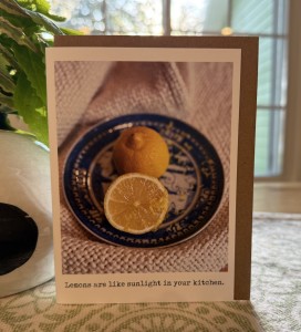 Sunshine and friendship