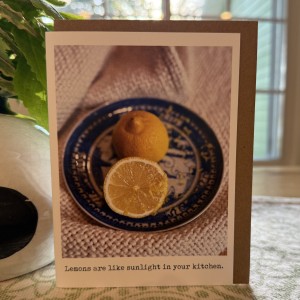 Sunshine and friendship